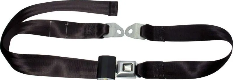 Allstar Performance Seat Belt - 2-Point - Black