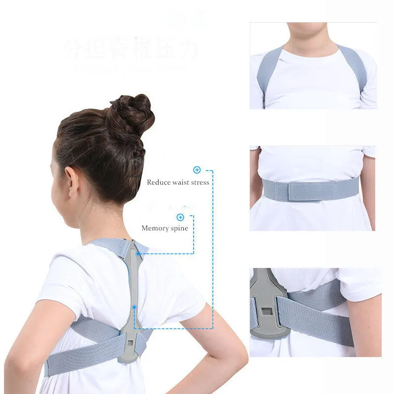 back support belts