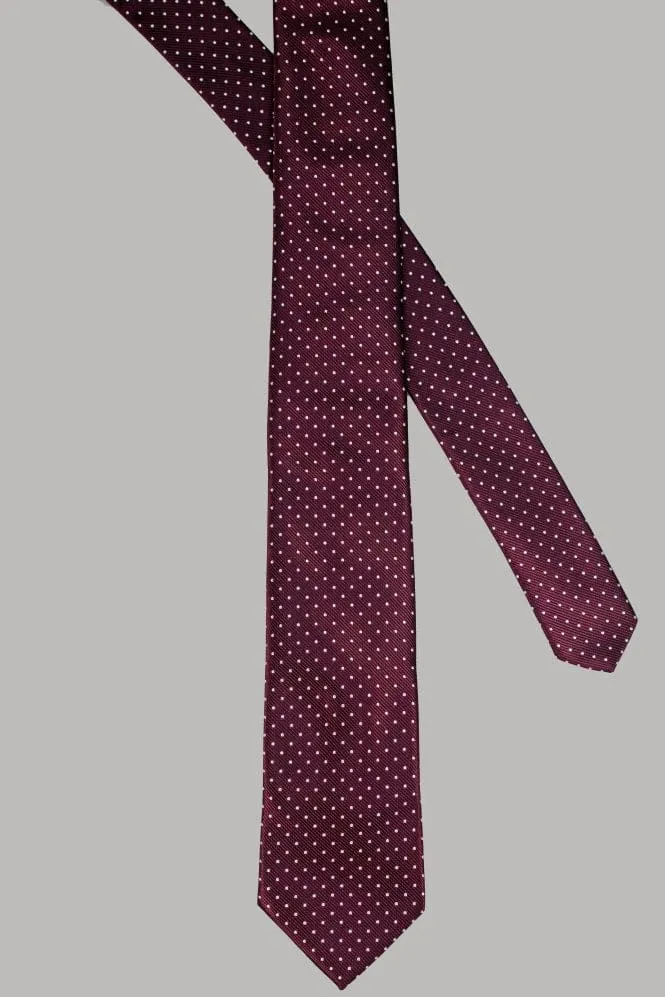 Cavani Dotted Tie Set